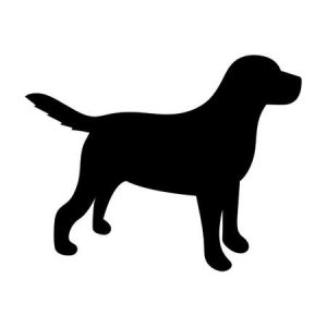 EFE3F170-398F-4980-914A-C1A3767238C0